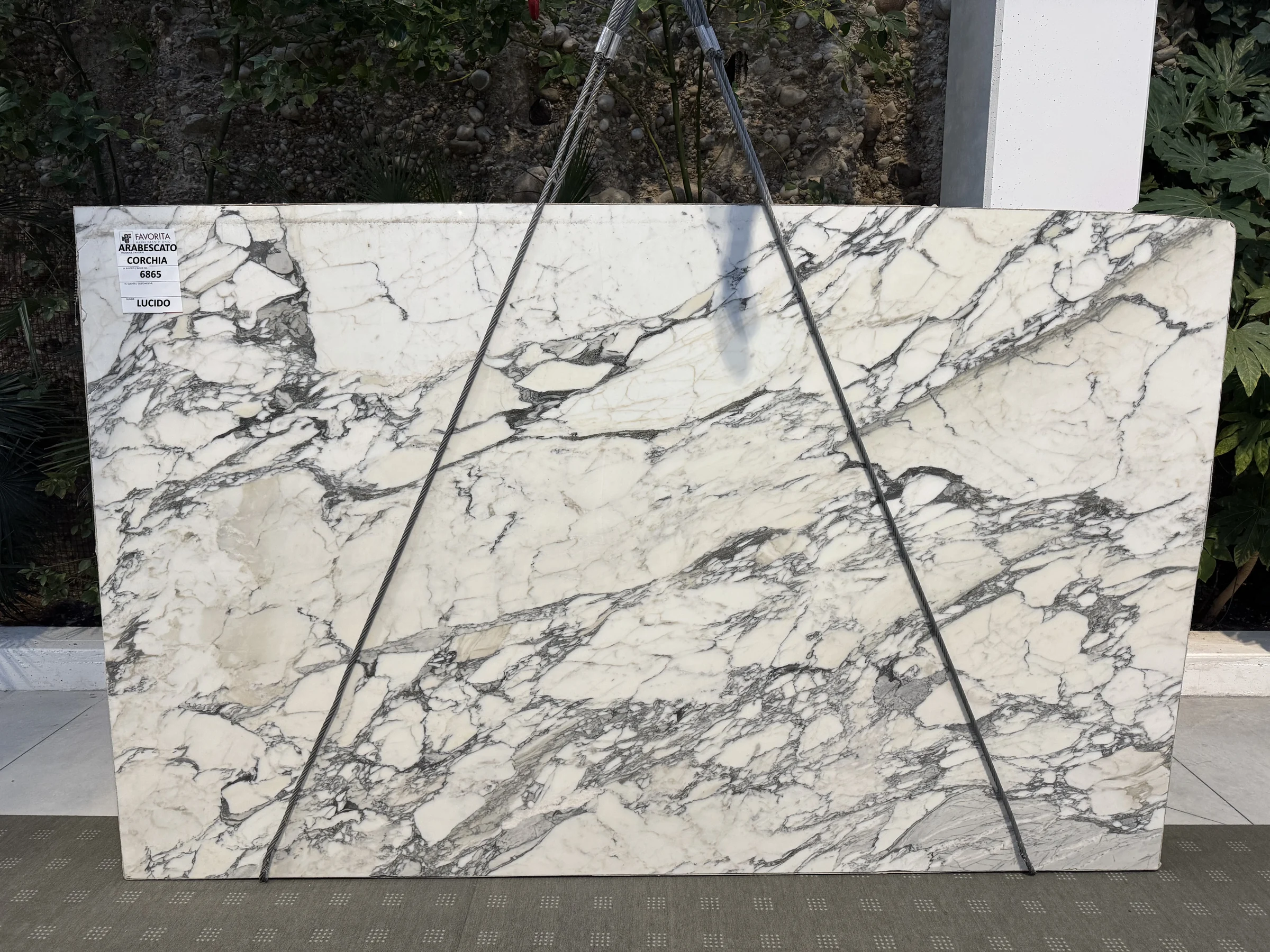 Arabescato slab in stock