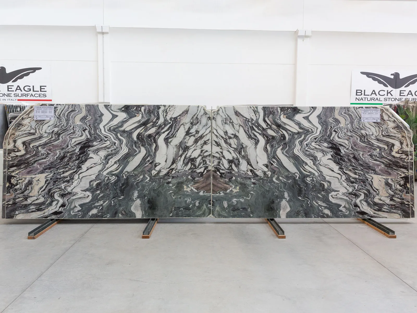 Calacatta Viola slab in stock